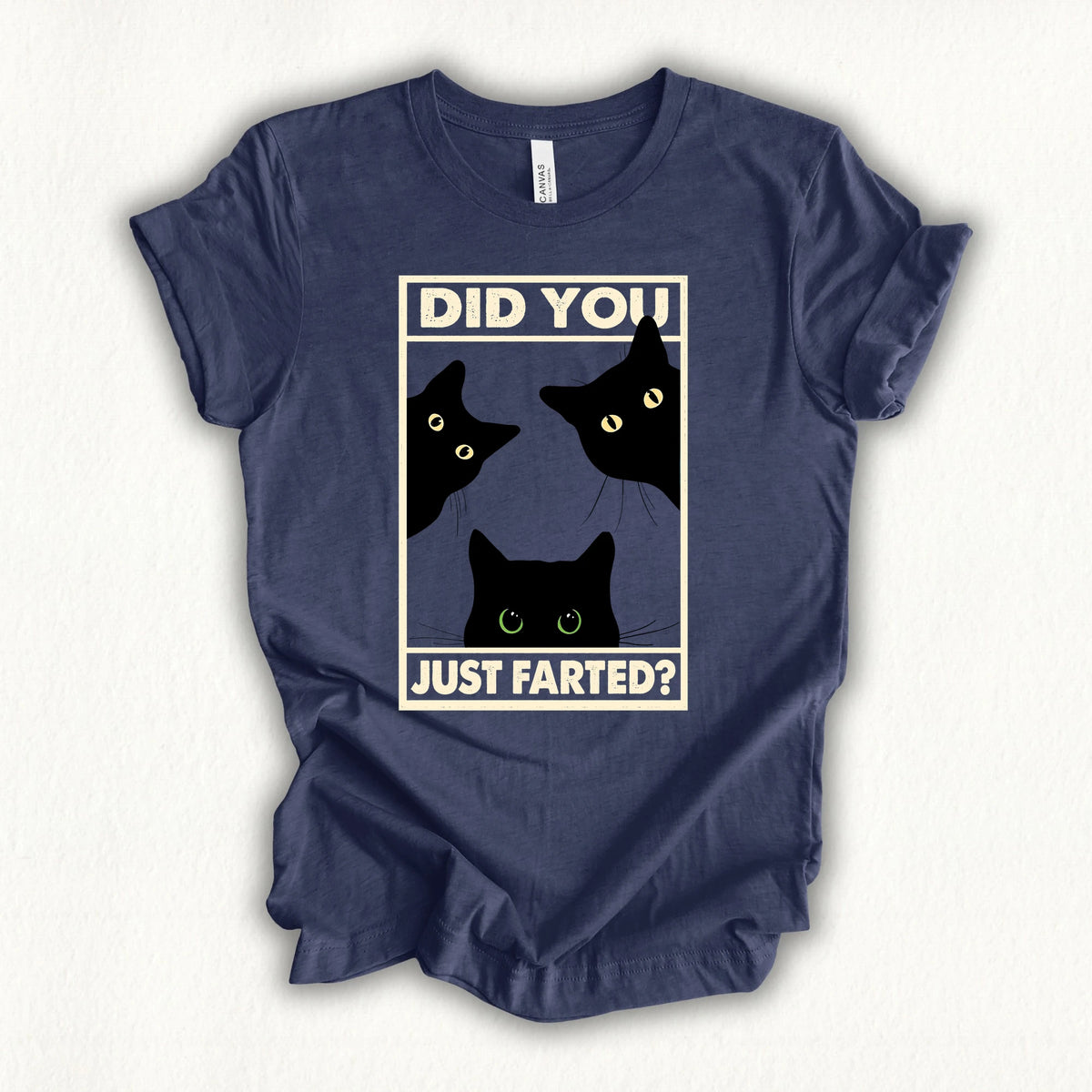 Did You Farted T-shirt