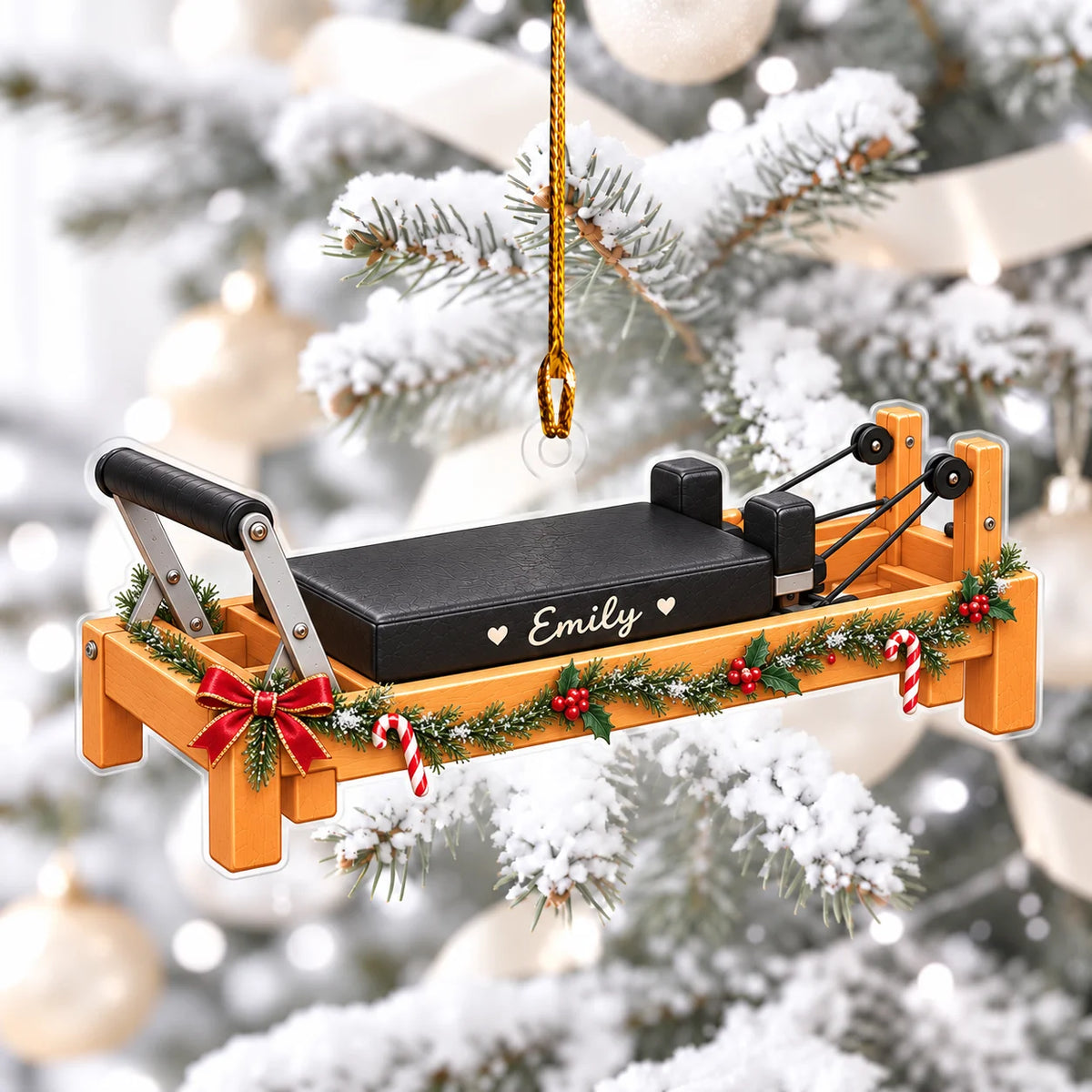 Xmas Reformer 2D Flat Ornament Ver 3