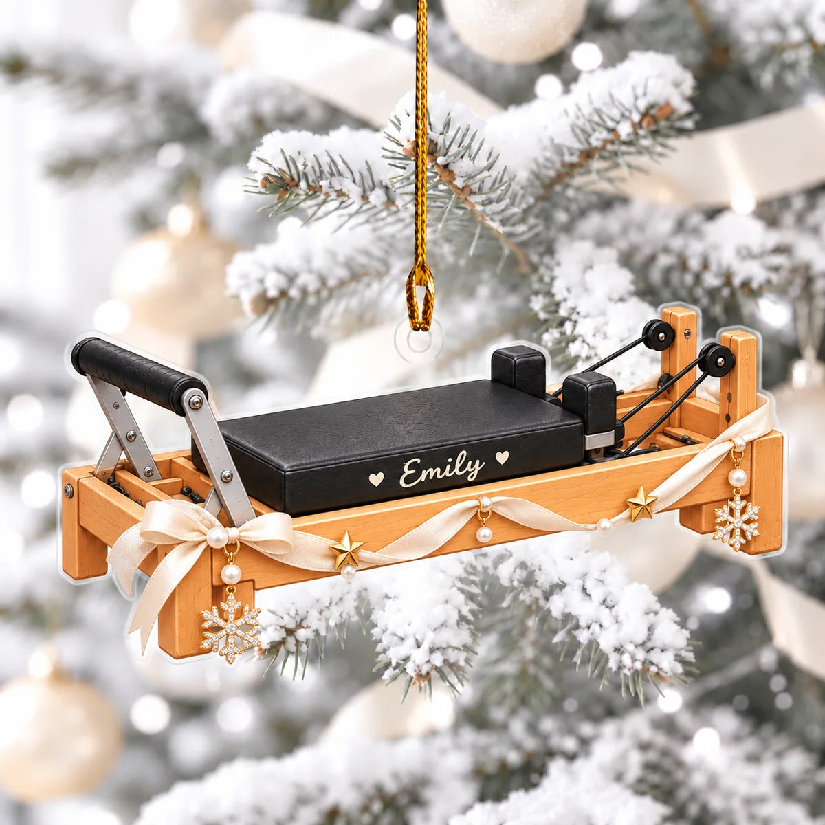 Xmas Reformer 2D Flat Ornament Ver 2
