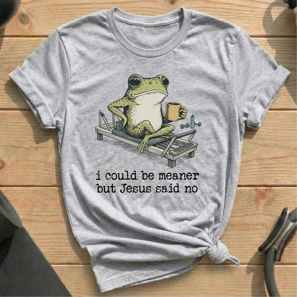 I Could Be Meaner T-shirt