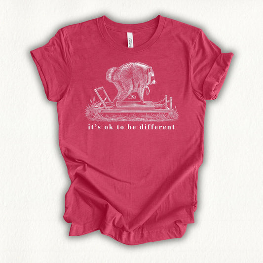 Jimothy It's Ok T-shirt