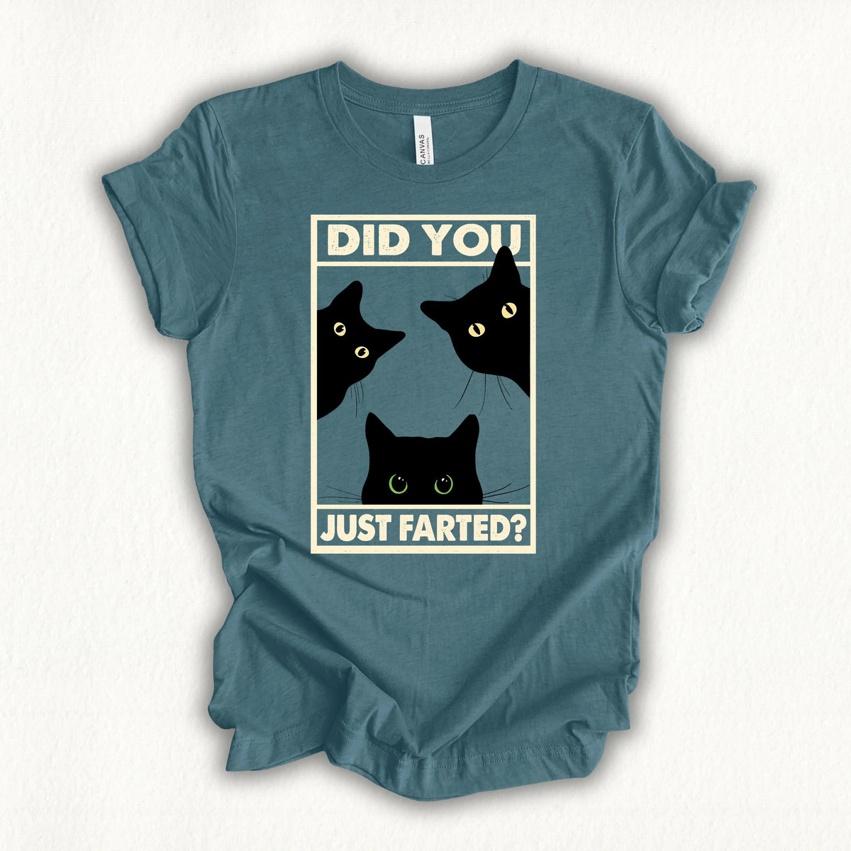 Did You Farted T-shirt
