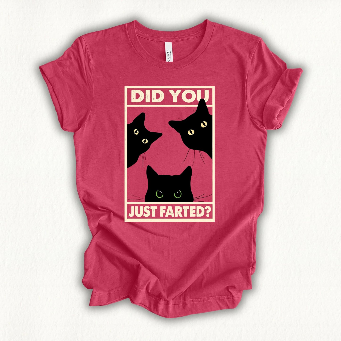 Did You Farted T-shirt
