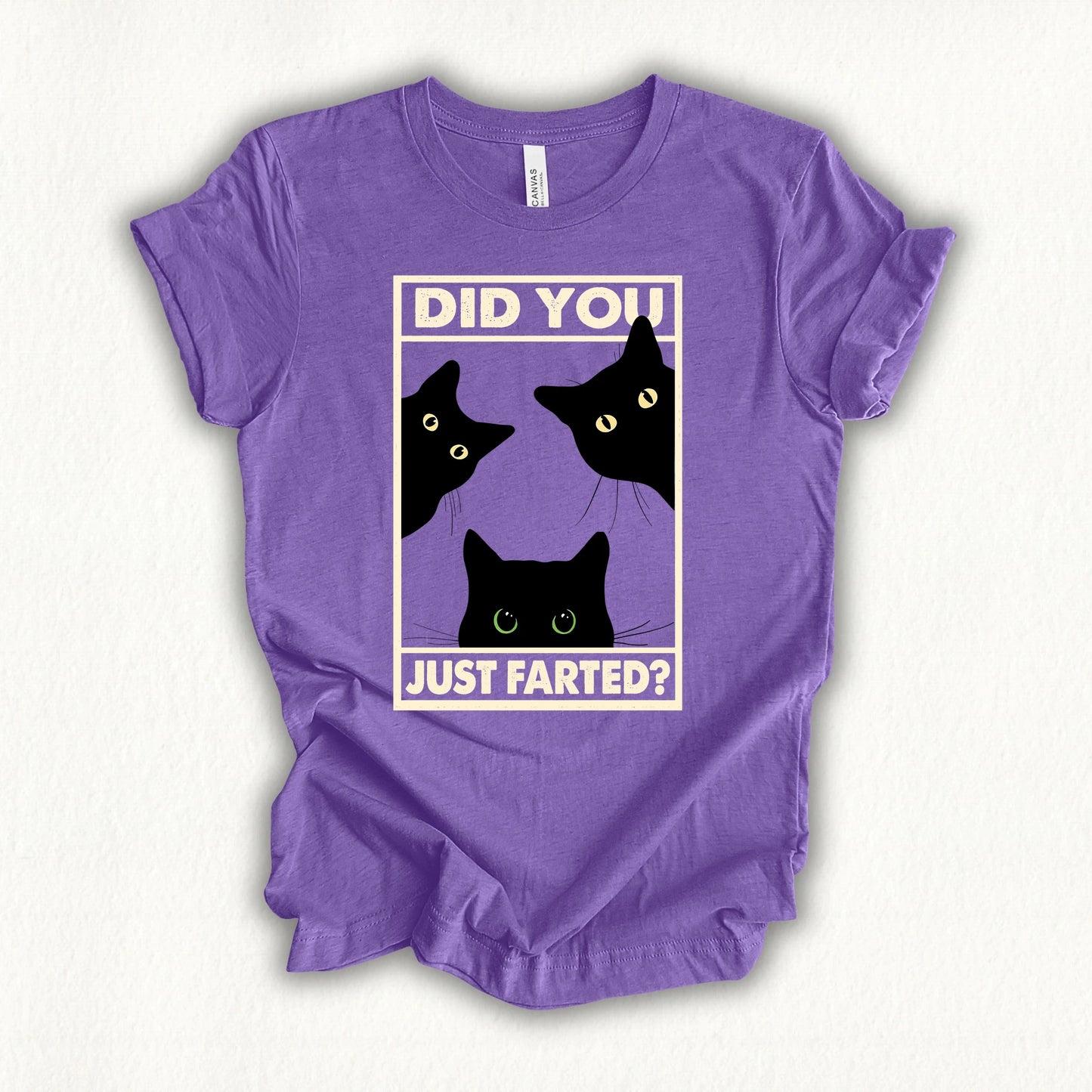 Did You Farted T-shirt