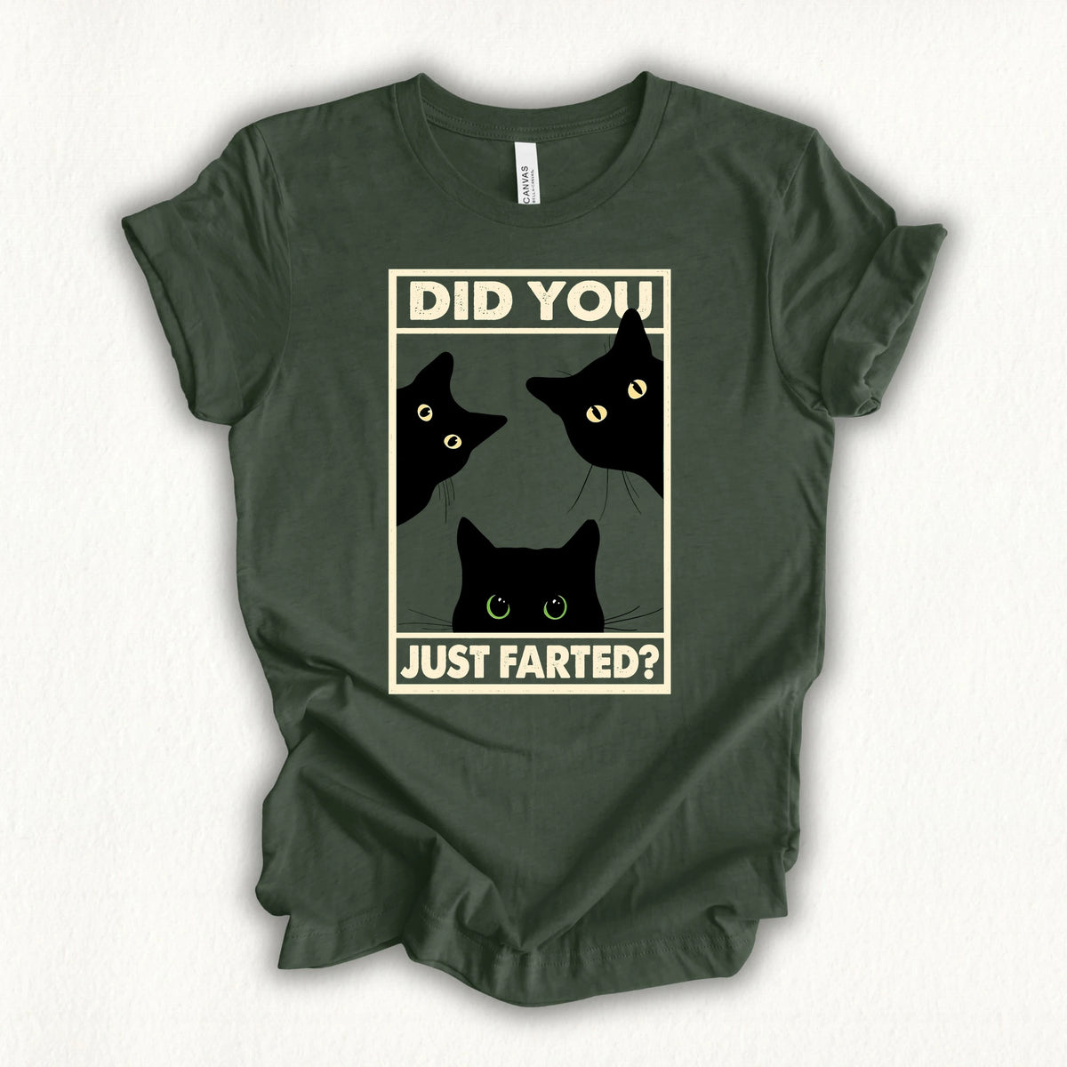 Did You Farted T-shirt