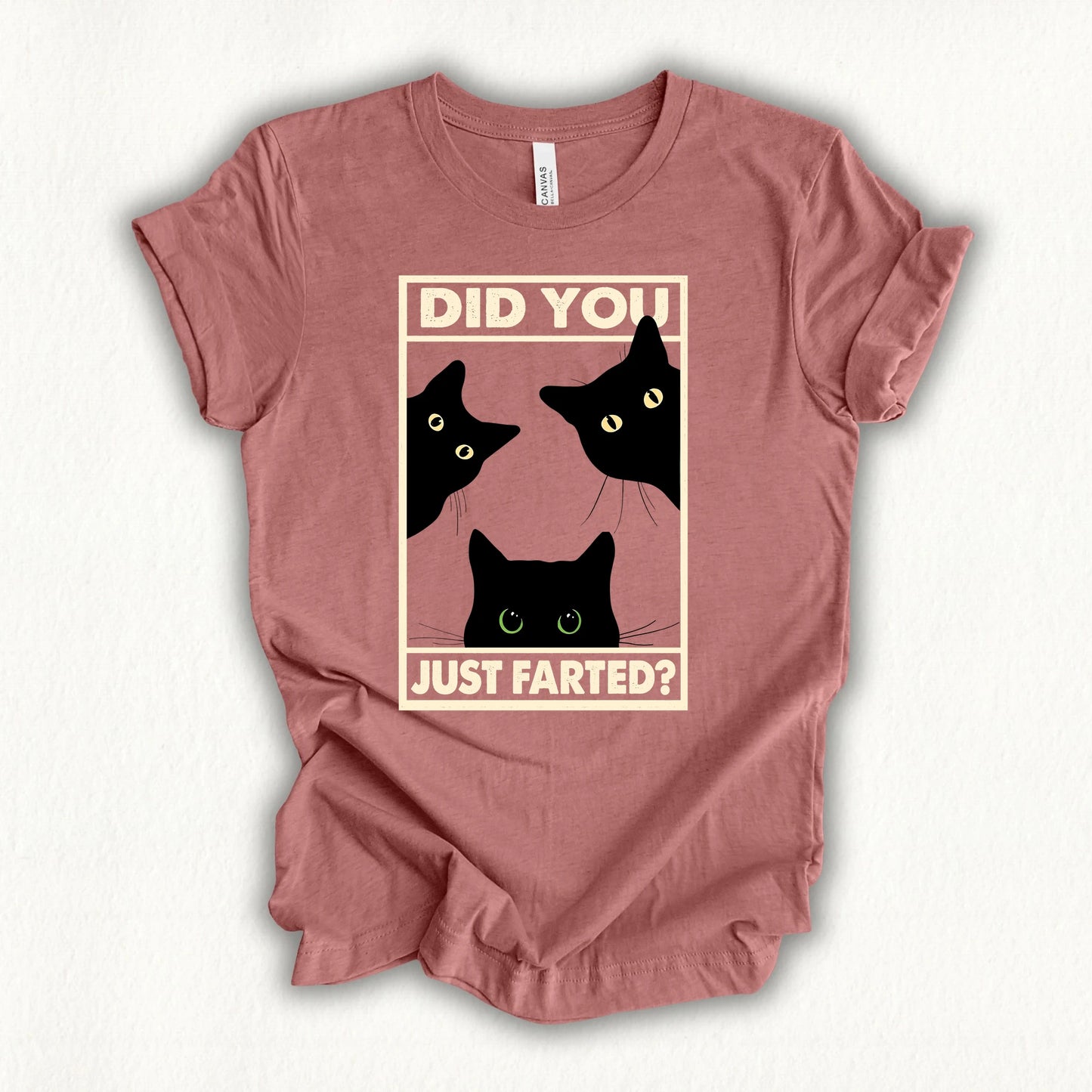 Did You Farted T-shirt