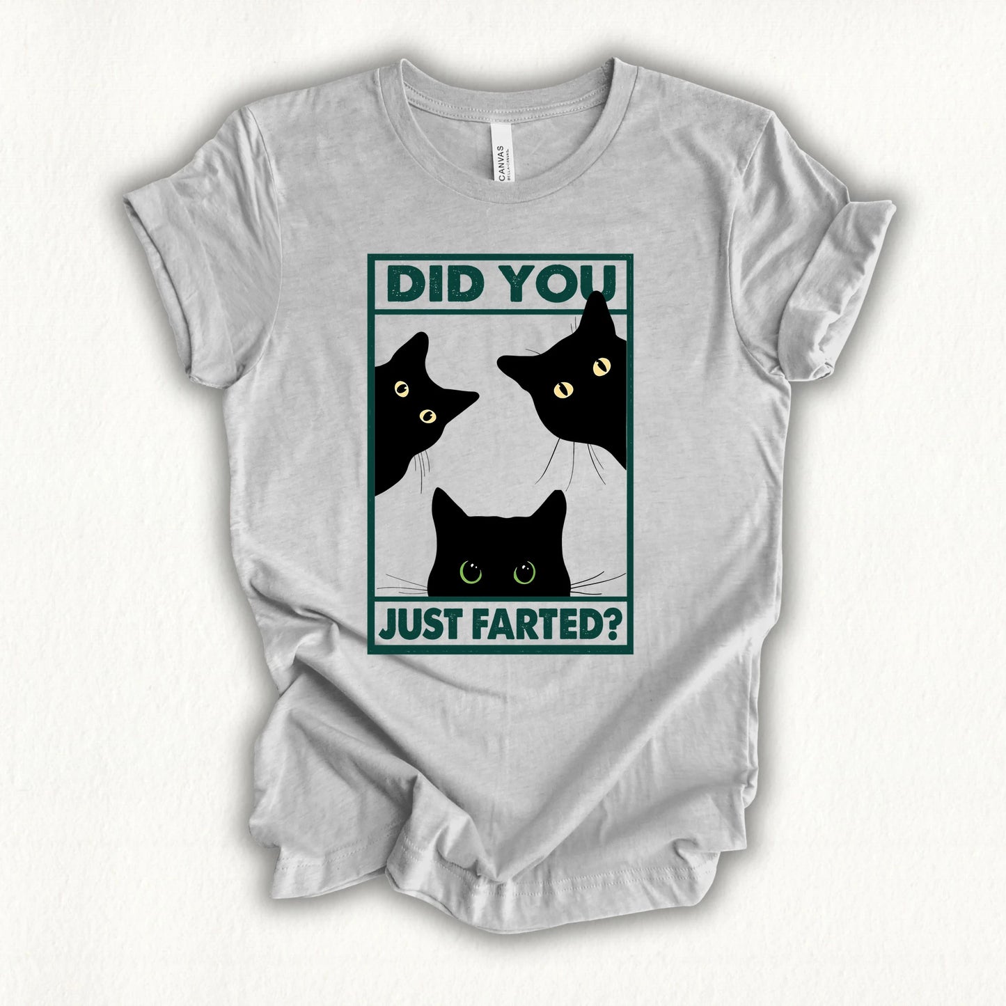 Did You Farted T-shirt