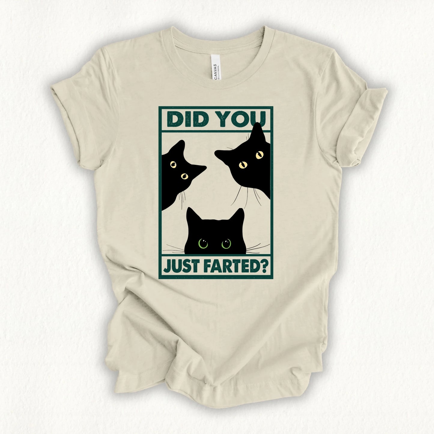 Did You Farted T-shirt