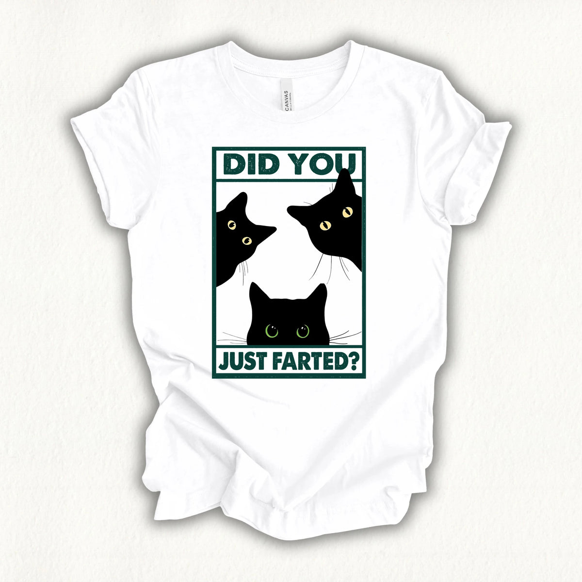 Did You Farted T-shirt