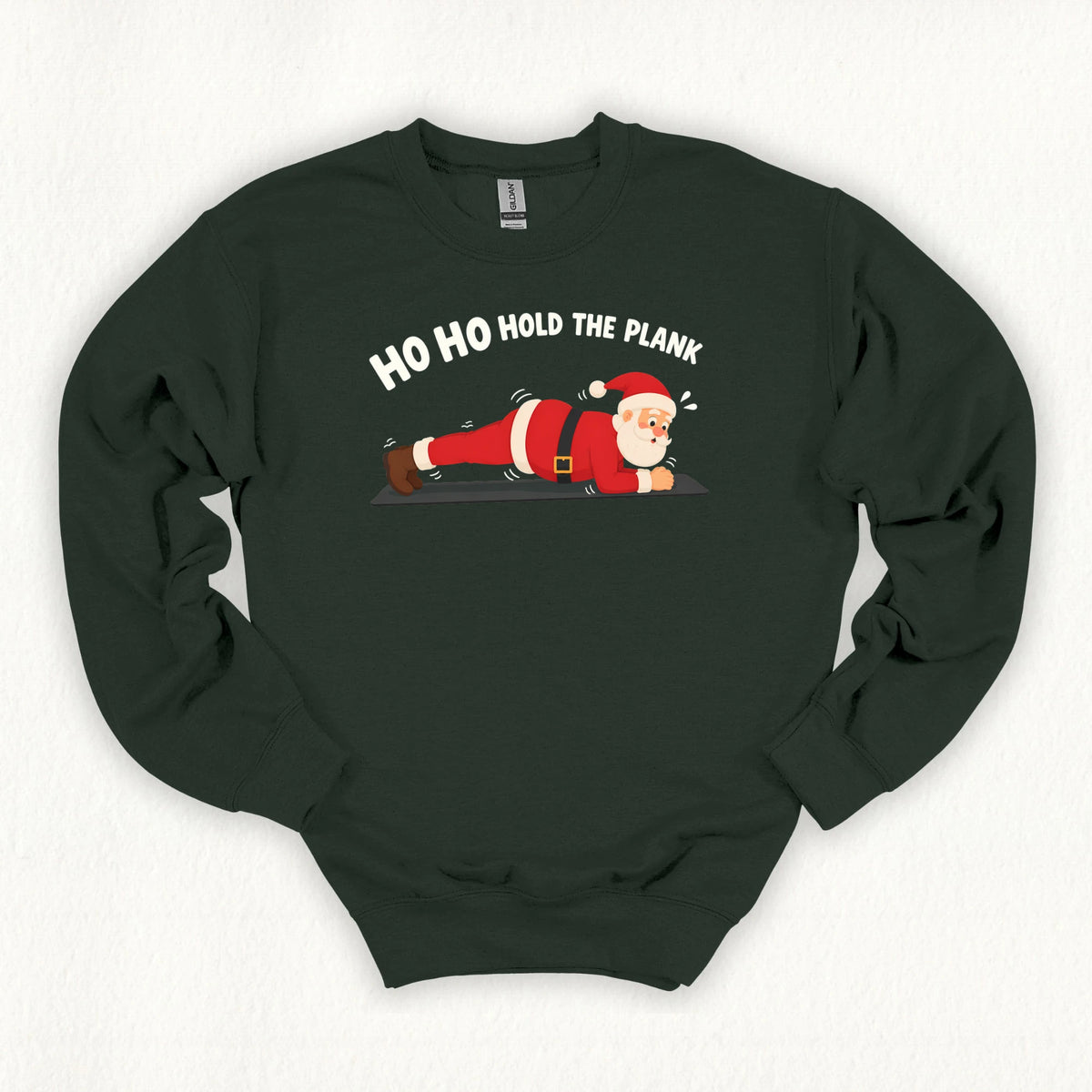 Hold The Plank Sweatshirt