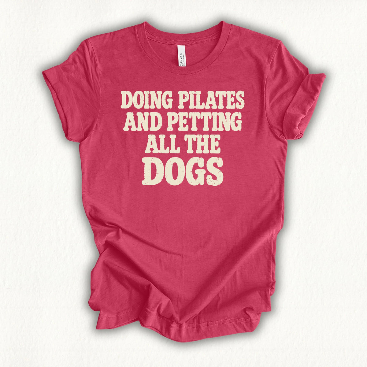 Do Pilates With Dogs T-shirt