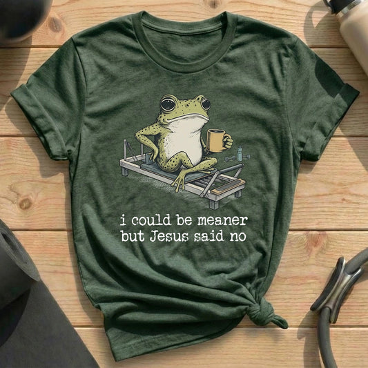 I Could Be Meaner T-shirt