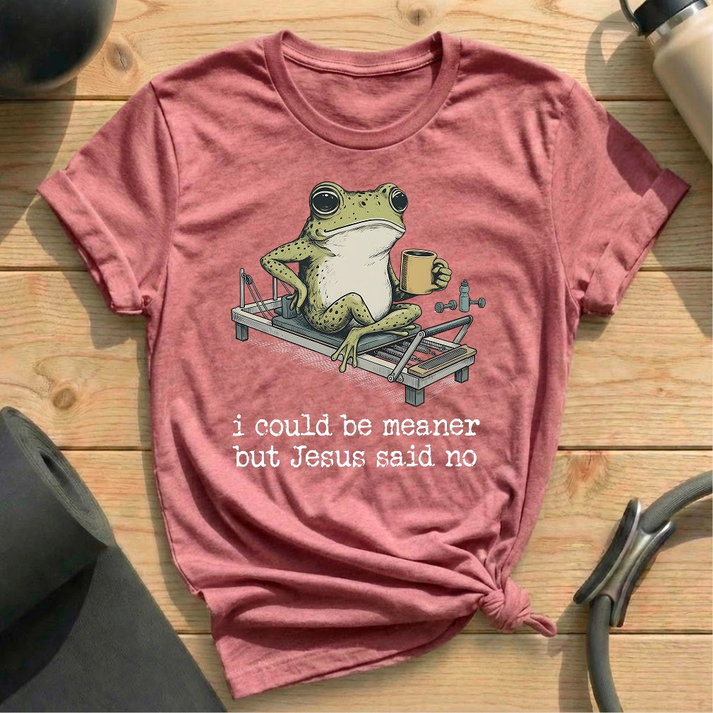 I Could Be Meaner T-shirt