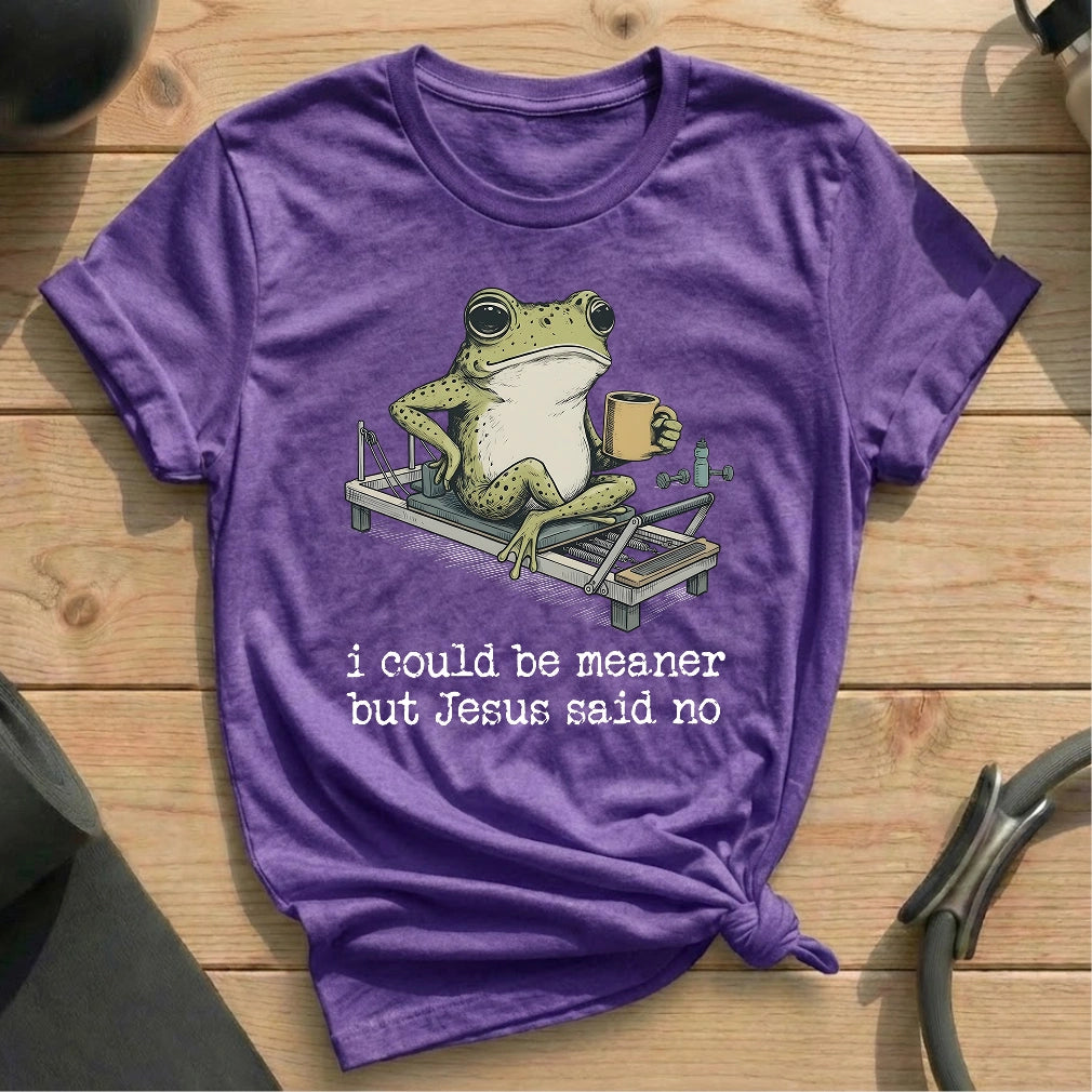 I Could Be Meaner T-shirt
