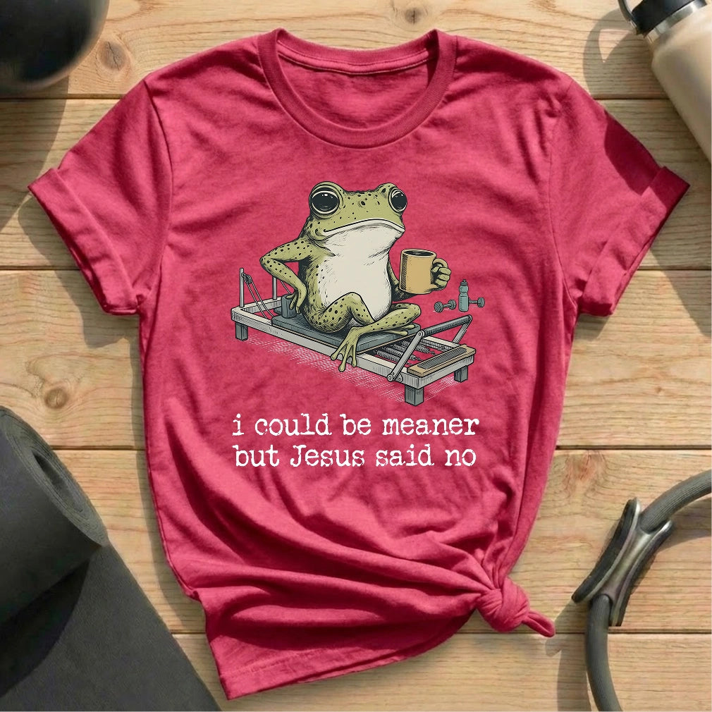 I Could Be Meaner T-shirt