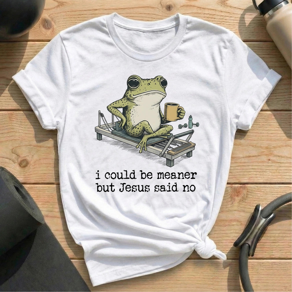 I Could Be Meaner T-shirt